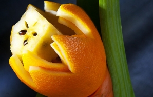 Апельсиновый тюльпан